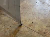 Transit mk7 капот перед крышка двигателя с Разборки, фото thumb