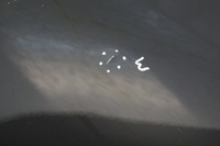 фото thumb №8, Крыло правый перед peugeot 207 lift exld