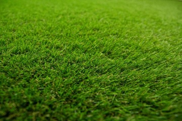 szer. 2,5m MIĘCIUTKA SZTUCZNA TRAWA NA TARAS 40mm