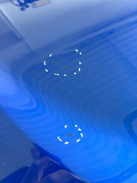 фото thumb №6, Hyundai i20 8-14 5d дверь правое задняя задние wau