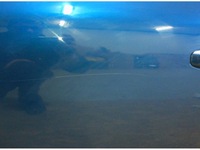 фото thumb №3, Двері ліва перед передні terpr granatowe renault megane iv 4