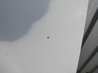 фото thumb №9, Doblo i 03r капот крышка двигателя