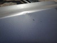 фото thumb №7, Двері праве правий задня задні bmw x3 e83 bluewater