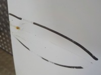 фото thumb №4, Vw caddy дверь сдвижные правое