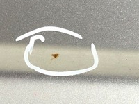 фото thumb №8, Дверь левый перед subaru forester ii хэтчбек