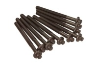 фото thumb №1, Болти головки renault 1,4b 16v 14-32157-01