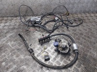 фото thumb №1, Электропроводка газовая lpg diego ls valtek rail ps-cct4-t tomasetto at09