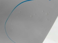 фото thumb №4, Fiat doblo combo 10- дверь левая сдвижные 249