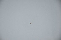 фото thumb №7, Капот кришка двигуна opel insignia a