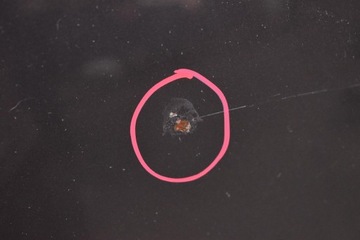 фото thumb №7, Капот крышка двигателя a22/7 bmw e90 e91 04-10