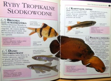 Ryby akwariowe, Dick MILLS [Wiedza i Życie 1997 - 101 Praktycznych Porad]