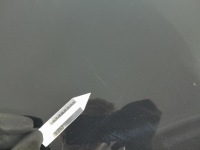 Bmw x5 e70 рестайлінг  капот перед передня 475 в Україні, фото thumb