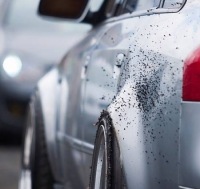 Купить 8x полиуретановые отбойники клипсы спортивные ограничителя skoku 12 mm с блокировка, фото thumb