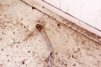 фото thumb №5, Mg259 dacia lodgy 1.5d стабілізатор перед передній