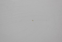 фото thumb №8, Капот крышка двигателя белый renault trafic 3 iii 14-21