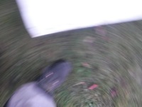 фото thumb №4, Renault koleos ii дверь задняя задние левая