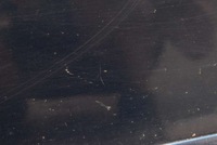 фото thumb №10, Двері ліві перед передні morskie mazda 5 1 i cr 05-08