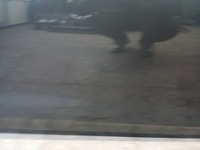 фото thumb №9, Дверь правый перед audi a4 b9 lift 19-23r серые