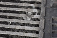 фото thumb №7, Nissan nv200 1.5 dci радіатор повітря інтеркулер 14461em00a