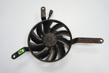 Triumph Daytona 675 06-12 Fanral Fan Fan