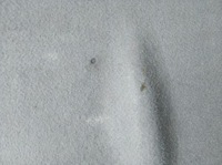 фото thumb №6, Полиця задня багажника daewoo matiz