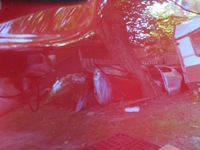 фото thumb №11, Двері передні праве toyota verso 09-18r 209