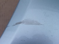 фото thumb №5, Молдинг накладка крила лівий перед ford ka mk1 1.3 b 96-08 europa