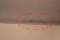 фото thumb №7, Alfa romeo giulia 2016 потолок