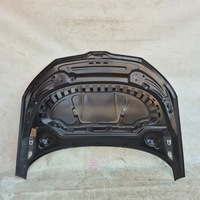 фото thumb №8, Skoda scala 19- капот кришка двигуна