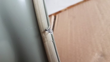 фото thumb №11, Двері зад праві mg marvel 20- нове