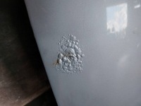 фото thumb №14, Kompletny перед капот бампер крила лампи passat b5 fl lift lb5s