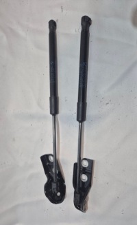 фото thumb №1, Bmw x1 u11 амортизаторы капот