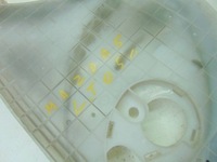 фото thumb №7, Mazda 5 v i 2.0mzr-cd 07r джгут двері задня лівий