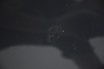 фото thumb №5, Капот кришка двигуна renault espace iv 4