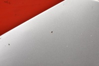 фото thumb №7, Капот крышка двигателя lf7t skoda superb 1 i 01-08