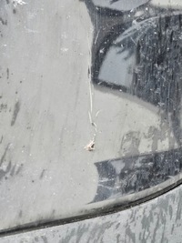 фото thumb №7, Ford focus mk4 lift бампер передний перед