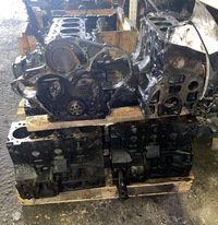 фото thumb №9, Голий блок двигуна man d0834 tgl 210km euro3 lfl43