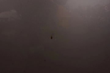 фото thumb №7, Бампер комплектный перед kia carens iii 3