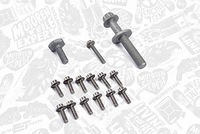 фото thumb №11, Et команда двигуна rs0042 набір ланцюга розподільний вал