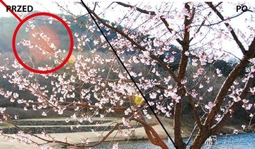 ЗАЩИТНЫЙ ФИЛЬТР MARUMI EXUS LENS PROTECT 77 мм
