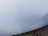 фото thumb №5, Seat ibiza 4 iv 08-12r капот lx7w