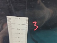 фото thumb №5, Дверь перед левая renault fluence чёрный