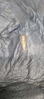 фото thumb №9, Bmw g26 i4 шумоізоляція ізоляція акустична 6997266