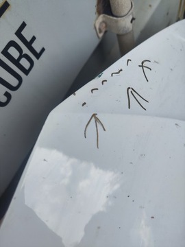 фото thumb №7, Капот передняя audi a4 b9 8w перед