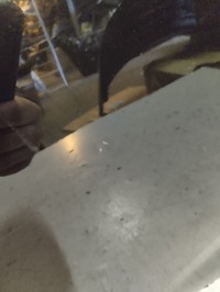 фото thumb №4, Renault zoe двері задні зад праві