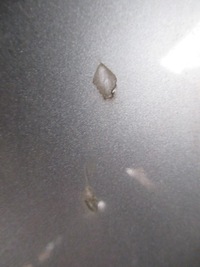 фото thumb №8, Audi a6 c6 капот ly7q оригінал