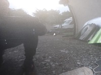 фото thumb №3, Дверь правые задние правые зад citroen c4 2 ii nc b7 2010- цвет kdk 9008x2