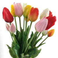 TULIPANY SILIKONOWE x15 W DOTYKU jak ŻYWE PREMIUM *