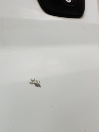 фото thumb №6, Дверь левый перед ewp citroen jumper iii