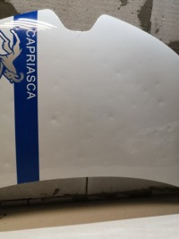 фото thumb №3, Капот zoe